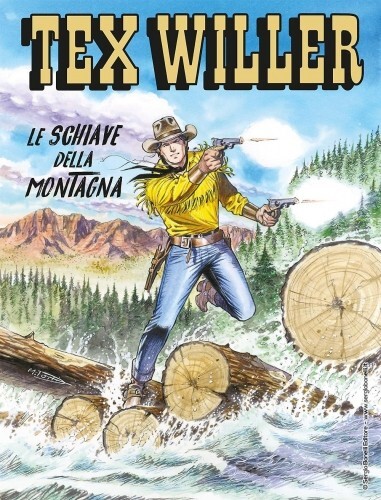 Fumetto tex willer - 15, le