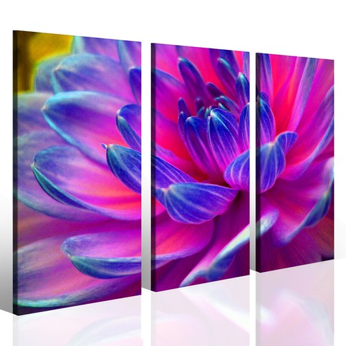 Quadro canvas pam stampa - quadro,