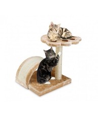 Palestra Con Tiragraffi Per