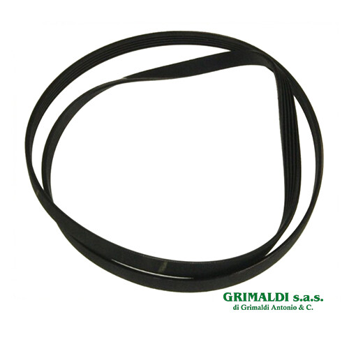 Cinghia motore elastica - motore,