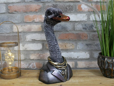 Ornamento testa di emu in tuta