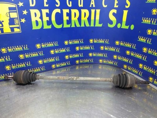 Semiasse anteriore destra - semiasse,
