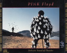 Pink Floyd - Delicate Sound of