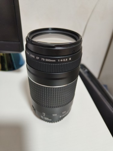 Canon 300mm 5 - ef, f/4-5.6
