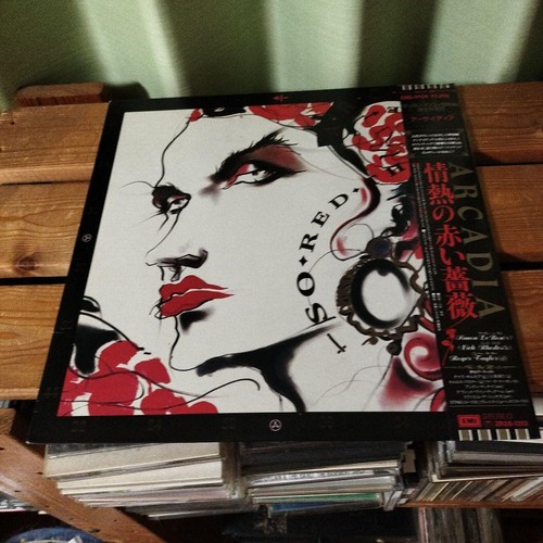 Arcadia red the rose - so,