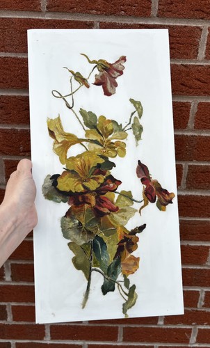Antico quadro studio - , botanico