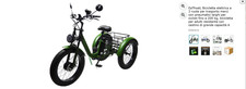 Bicicletta elettrica a 3 ruote