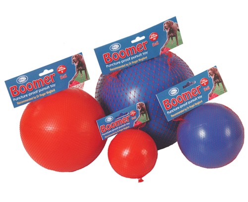 Company animals boomer ball - company,