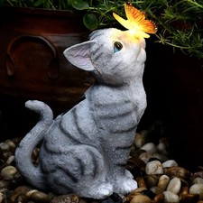 Gatto gattino animale lampada