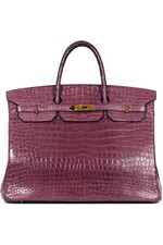 HERMÈS 2009 BIRKIN BORSA IN