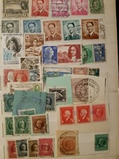 Raccoglitore con centinaia di