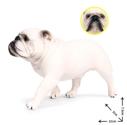 Bulldog bianco cane animale - bulldog,