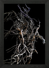 poster arte da parete con