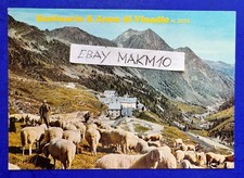 Photo postcard sanctuary - photo,