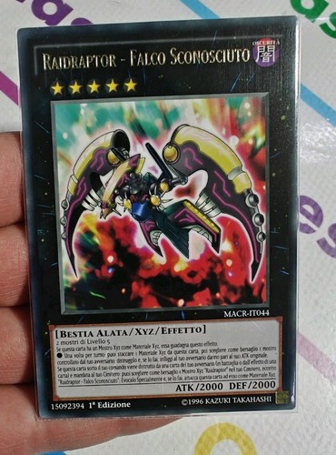 Raidraptor falco sconosciuto - raidraptor,