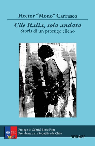 Cile italia solo andata - cile,