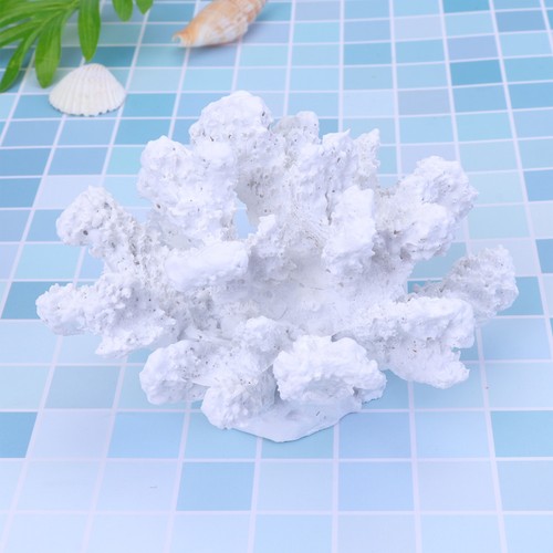 Accessori per acquario - accessori,