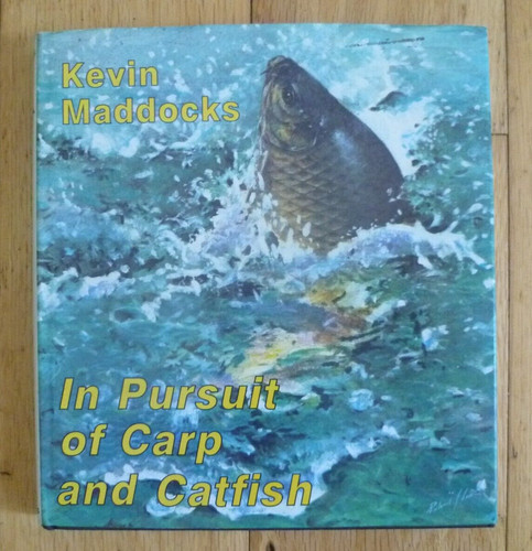 Pursuit carp catfish - pursuit, of