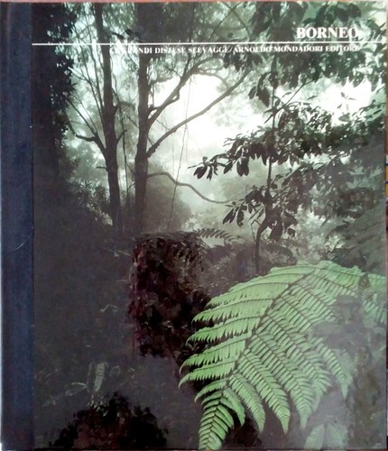 Borneo grandi distese - -,