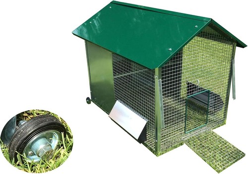 Pollaio tosa erba - per, galline