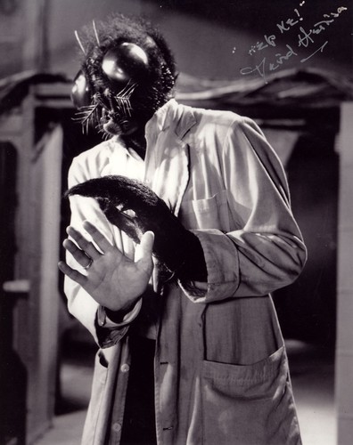 David hedison firmata la - firmata, "la