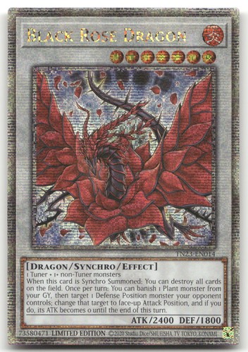 Drago rosa nera quarter - rosa,