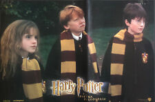 Film HARRY POTTER E LA PIETRA FILOSOFALE  - Set 4 Locandine (ORIGINALI) + DVD