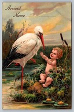 Cartolina Incontro Cicogna Baby Pond Lilly Pad Annuncio Nascita Bimbo Fantasia PBF