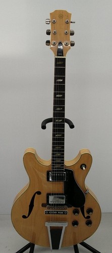 Chitarra elettrica