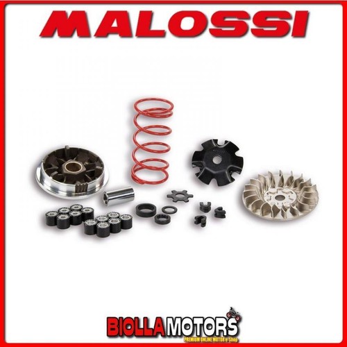 5113161 variatore malossi - 5113161,