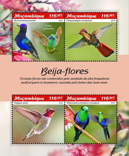 Francobolli colibrì colibri - francobolli,
