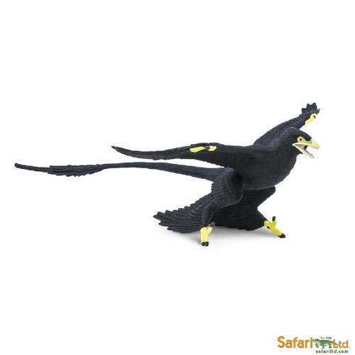 Safari ltd 304129 microraptor - safari,