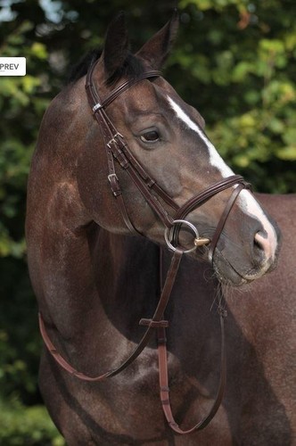 Stubben snaffle bridle 2300 - stubben,