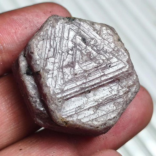 Cabochon custode dischi - , rubino