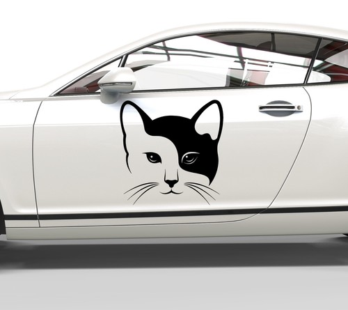 Adesivo auto gatto - -, viso