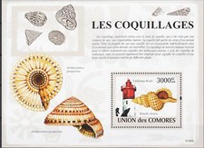 Isole Comore 2009 Conchiglie Natura Lumache Marine Conchiglie Faro m/s MNH