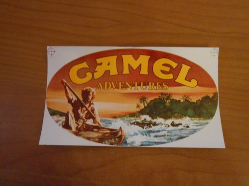 Adesivo sticker camel - adesivo-sticker-,