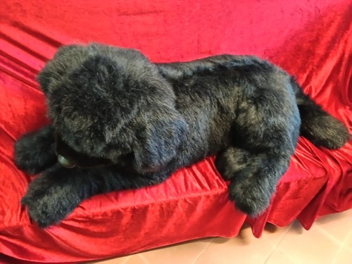Peuche gigante cane terranova - cane,