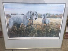Weimaraner Champions