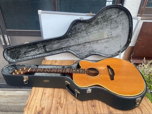 Chitarra elettrica acustica