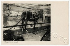 SEMPIONE Simplon Traforo Apertura 1 giugno 1906 Trasporto con cavalli