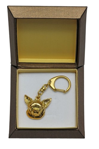 Chihuahua shorthair dorato - -,