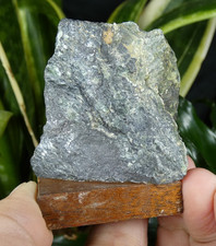 Serpentinite avec Magnétite