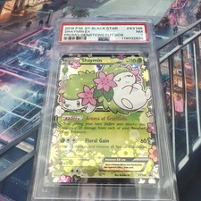 scatola scarpe da ginnastica