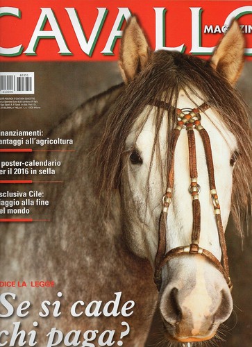 Cavallo 2016 351 febbraio iii - cavallo,