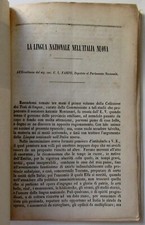 Francesco Selmi, La lingua