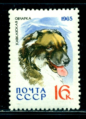 Russia 1965 cane pastore - russia,