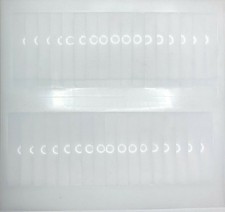 Maximum Security - Lente