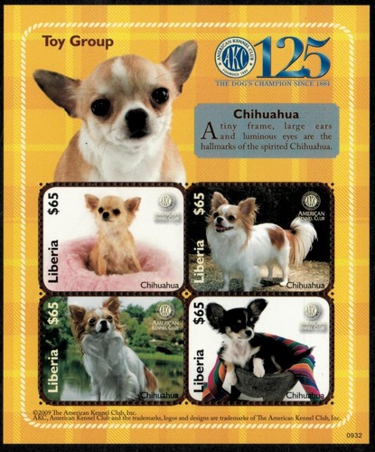 Liberia 2009 cani chihuahua - liberia,