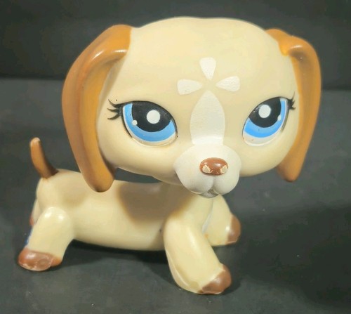 Littlest pet shop bassotto - pet,